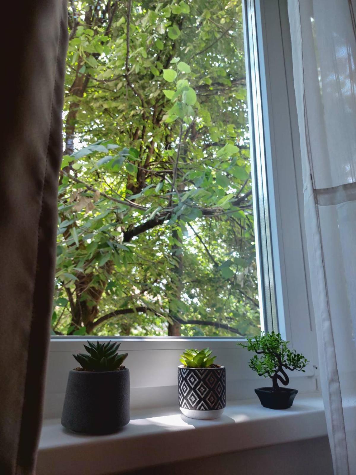 Apartman Rejna Сараєво Екстер'єр фото